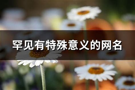 特殊含義網名|罕见有特殊意义的网名(精选256个)